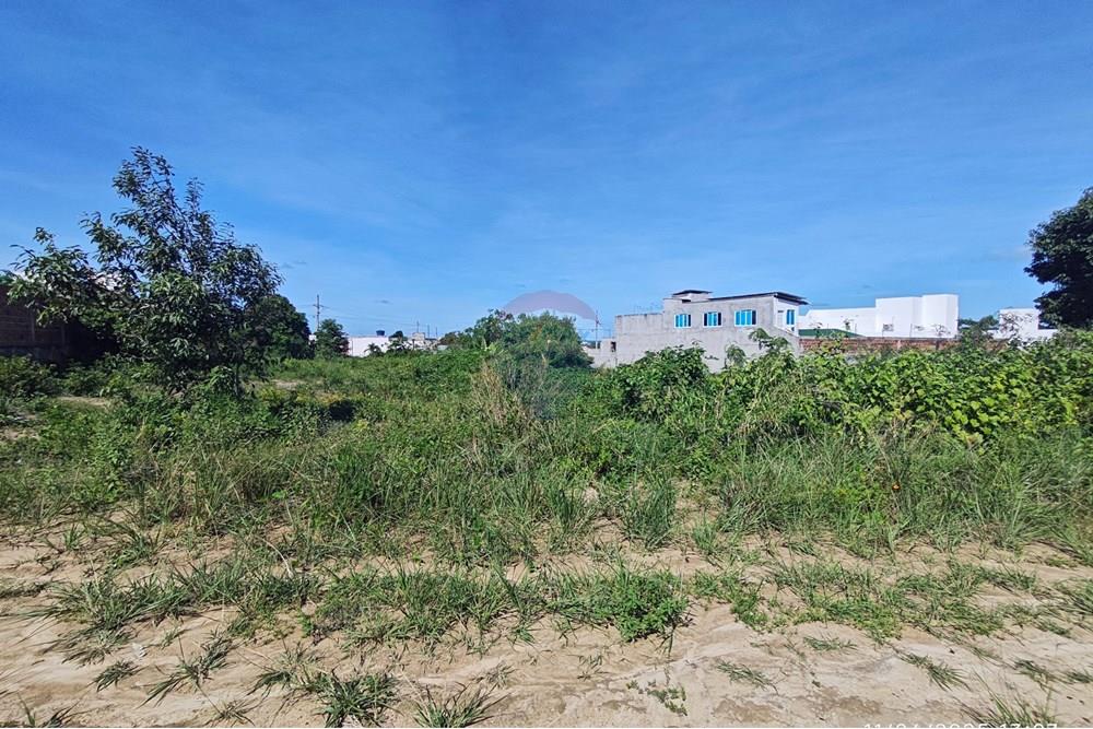 Terreno - Venda - Conde , Paraíba - 1000525097.jpg - 720871009-181