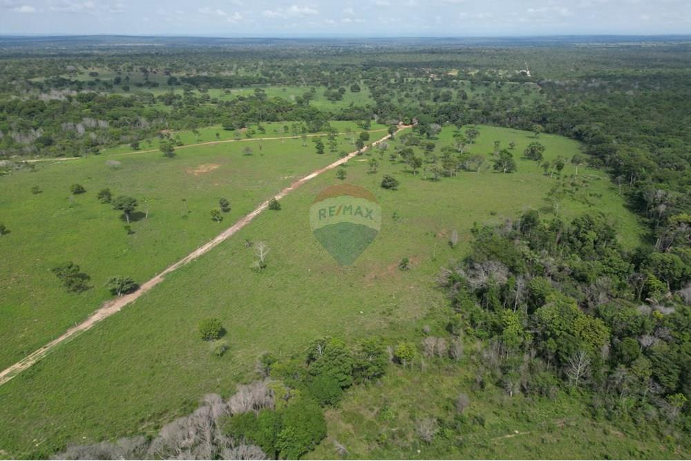 Fazenda - Venda - Araguaína , Tocantins - WhatsApp Image 2025-12-13 at 19.32.31 (2).jpeg - 720991010-81