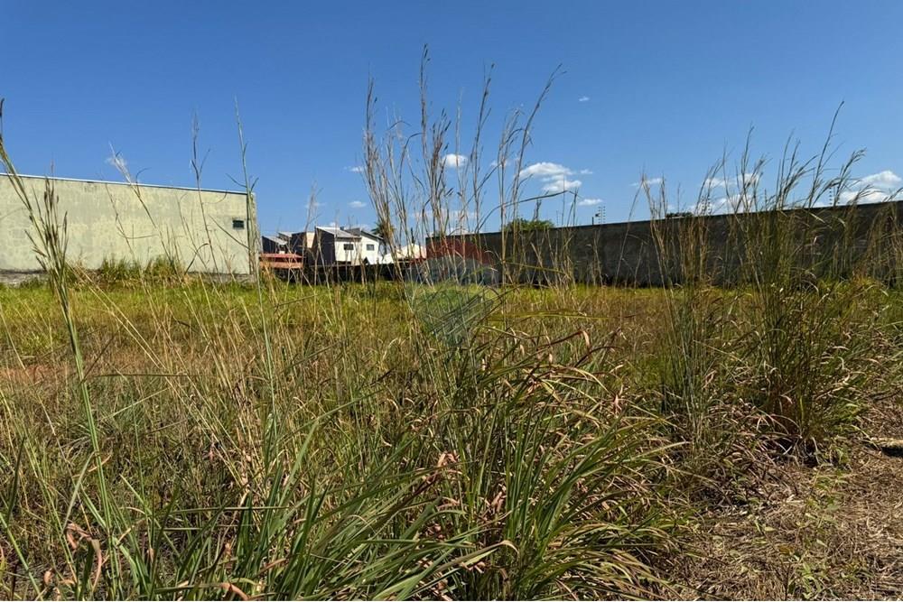 Terreno - Venda - Araguaína , Tocantins - WhatsApp Image 2024-08-22 at 17.40.41 (2).jpeg - 720991002-163