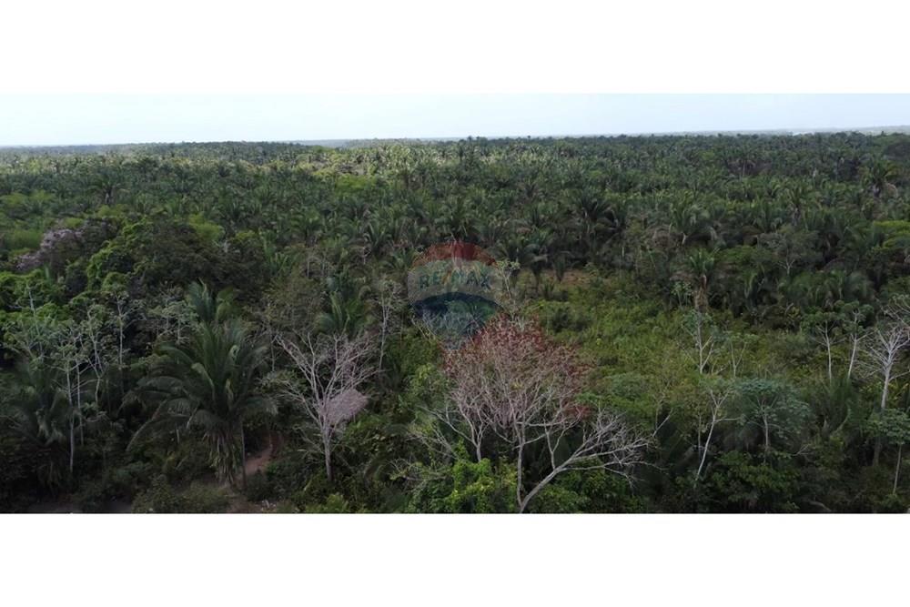 Fazenda - Venda - Rosário , Maranhão - IMG_0645.jpg - 722281002-38