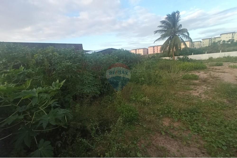Terreno - Venda - Parnamirim , Rio Grande do Norte - WhatsApp Image 2025-08-04 at 09.58.58 (3).jpeg - 720731005-133