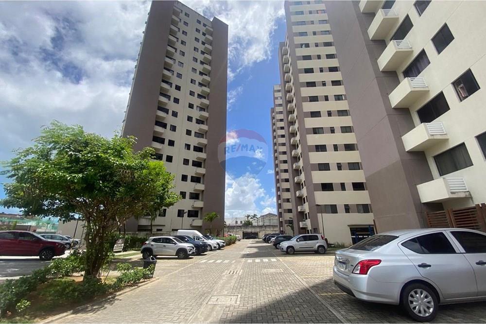 Apartamento - Alugar - Natal , Rio Grande do Norte - WhatsApp Image 2026-01-23 at 14.39.08.jpeg - 720731006-247