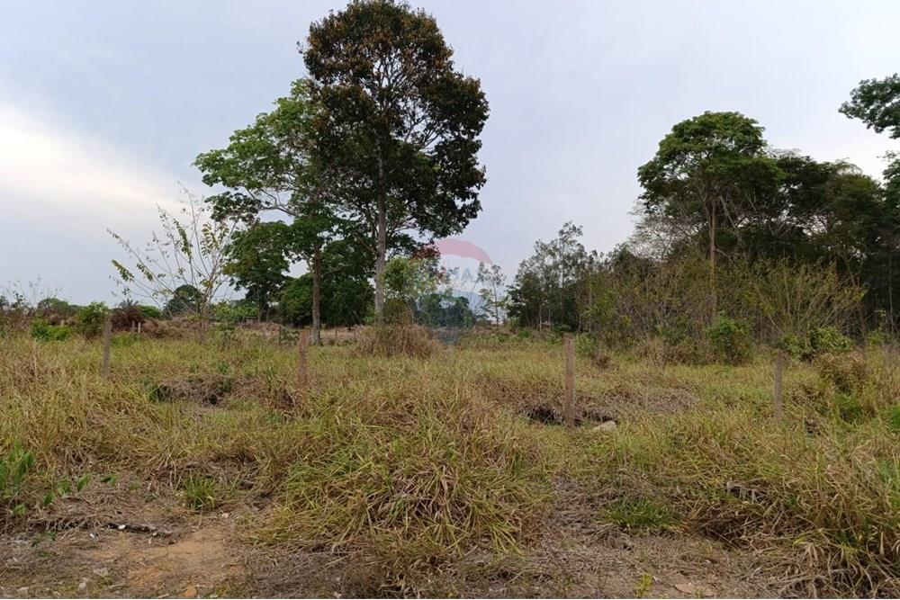 Terreno - Venda - Ji-Paraná , Rondônia - WhatsApp Image 2025-11-12 at 10.50.58.jpeg - 722391007-7