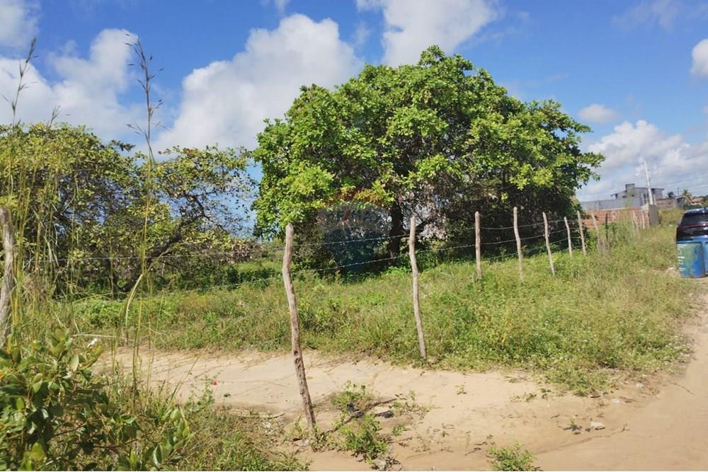 Terreno - Venda - Conde , Paraíba - 46f9235d-eba6-4722-9f95-79395a0b2fc4.jpg - 720871056-7