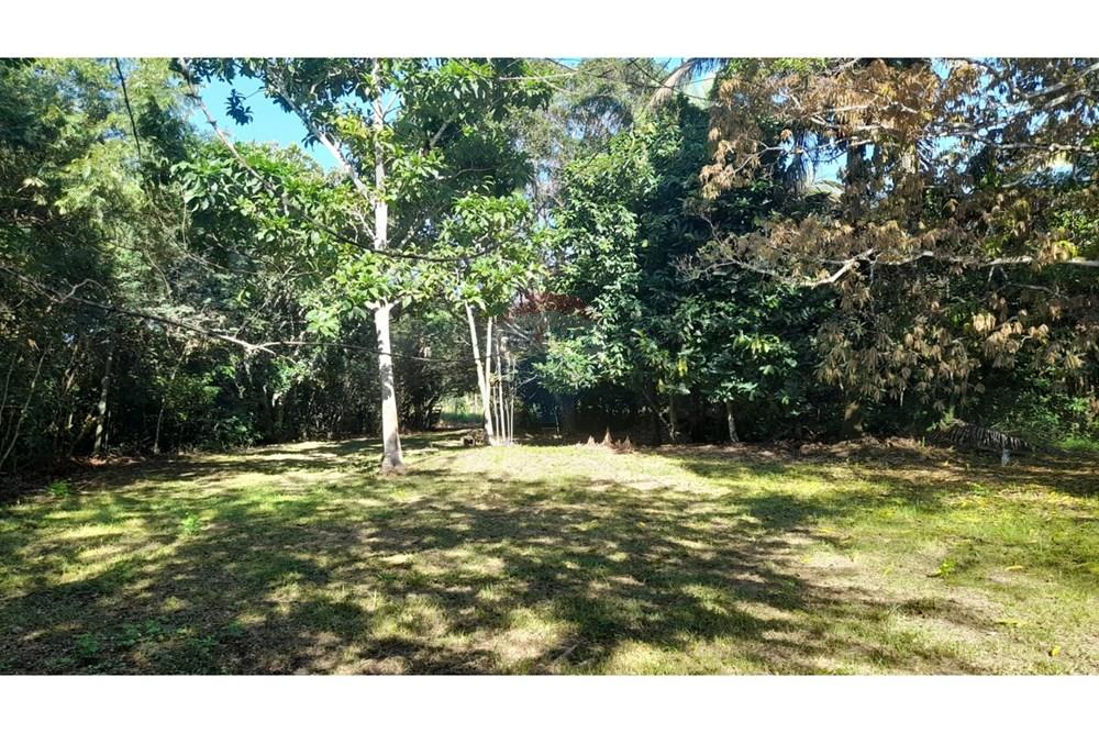 Chácara / Sítio / Fazenda - Venda - Porto Velho , Rondônia - Imagem do WhatsApp de 2025-05-21 à(s) 09.26.08_a35c88de.jpg - 721551046-37