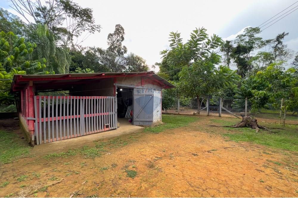 Chácara / Sítio / Fazenda - Venda - Porto Velho , Rondônia - IMG_7461.jpg - 721551058-3