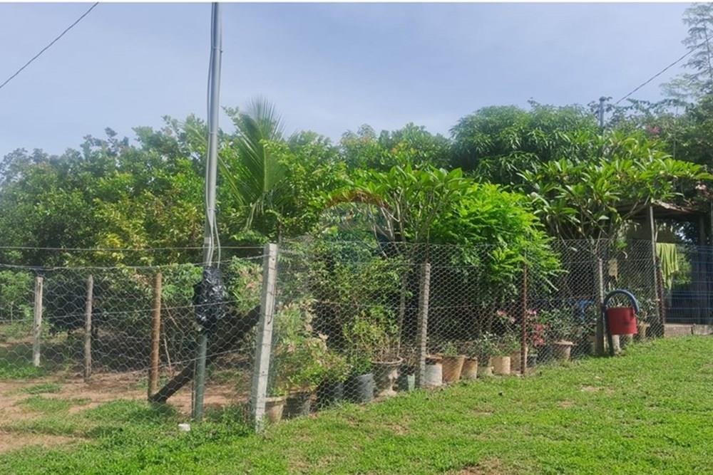 Chácara / Sítio / Fazenda - Venda - Rondonópolis , Mato Grosso - Imagem do WhatsApp de 2025-08-25 à(s) 16.49.17_68a9c9f0.jpg - 722261001-70