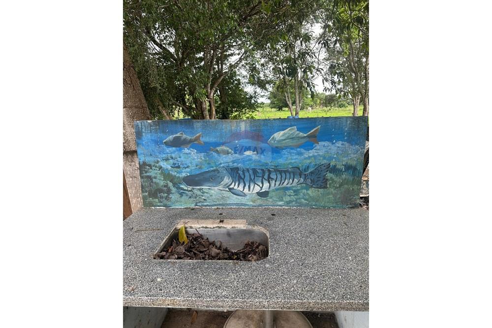 Chácara / Sítio / Fazenda - Venda - Barão de Melgaço , Mato Grosso - WhatsApp Image 2026-03-05 at 11.53.46.jpeg - 720851006-296