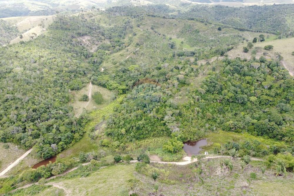 Chácara / Sítio / Fazenda - Venda - Areia , Paraíba - DJI_0430.JPG - 722011055-52