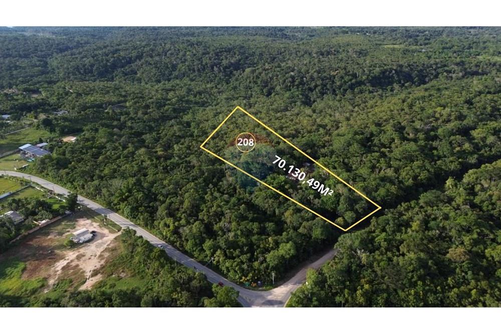 Terreno - Venda - Manaus , Amazonas - WhatsApp Image 2025-12-18 at 17.13.19 (2).jpeg - 720721004-183