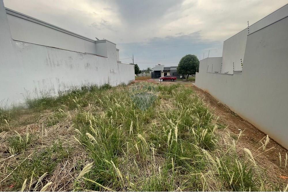 Terreno - Venda - Cacoal , Rondônia - PHOTO-2025-09-16-17-37-13 2.jpg - 722311011-14