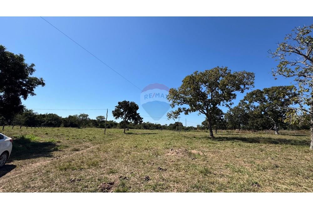 Fazenda - Venda - Santo Antônio do Leverger , Mato Grosso - a4503efb-812b-4a60-b50a-600b7888afa8.jpeg - 720611035-41