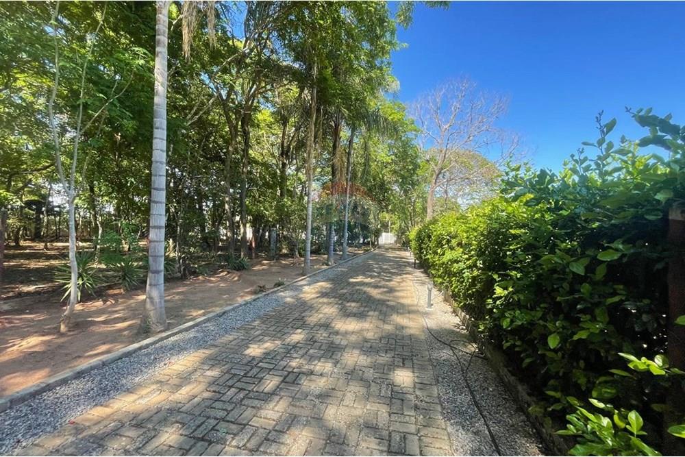 Chácara / Sítio / Fazenda - Venda - Nova Veneza , Goiás - WhatsApp Image 2025-11-18 at 07.24.51 (4).jpeg - 722271015-32