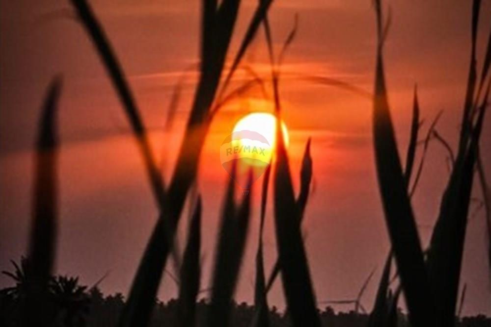 Terreno - Venda - Trairi , Ceará - 1000290758.jpg - 722341005-30