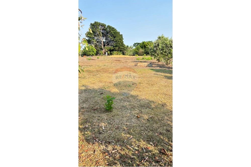 Chácara / Sítio / Fazenda - Venda - Ji-Paraná , Rondônia - WhatsApp Image 2025-08-25 at 16.25.11 (1).jpeg - 722161004-57