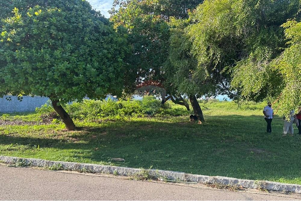 Terreno - Venda - Parnamirim , Rio Grande do Norte - 0d4afaaa-6a78-43a6-bbcf-4da1c857aee7.jpeg - 720891215-5