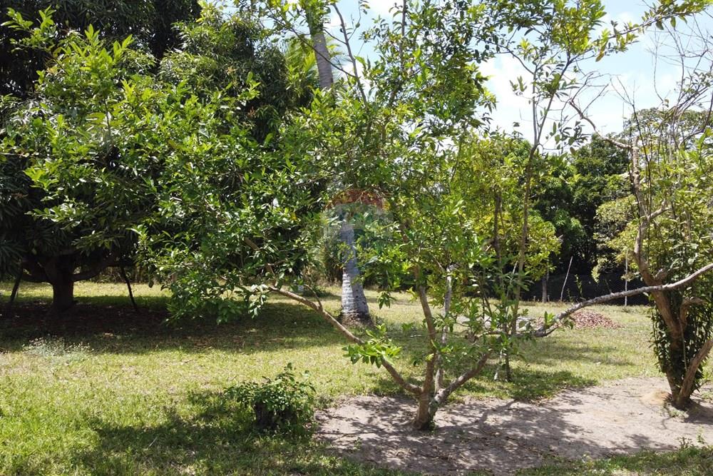 Terreno - Venda - Goiana , Pernambuco - DJI_0333.JPG - 722011055-50