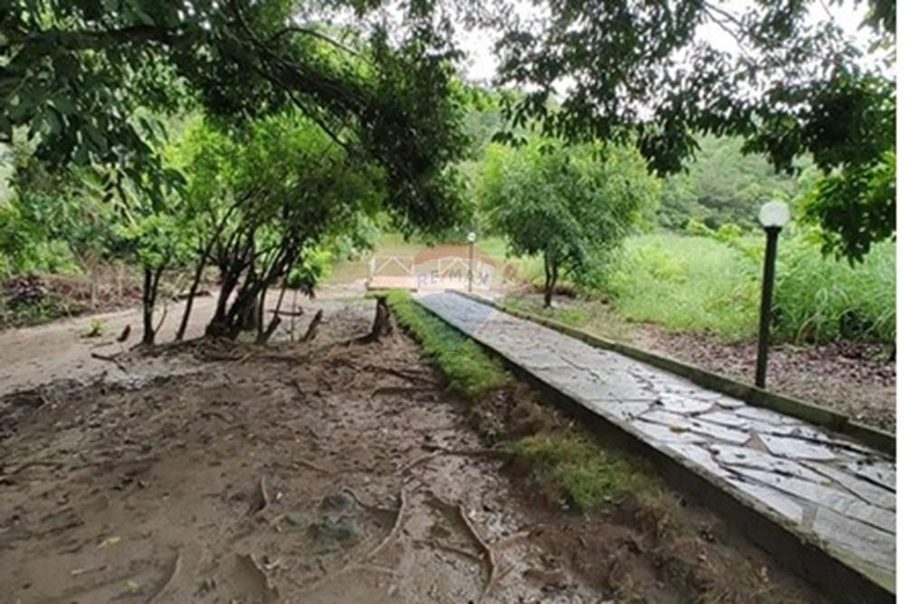 Terreno - Venda - Conde , Paraíba - IMG_20250521_072814949.jpg - 720871050-31