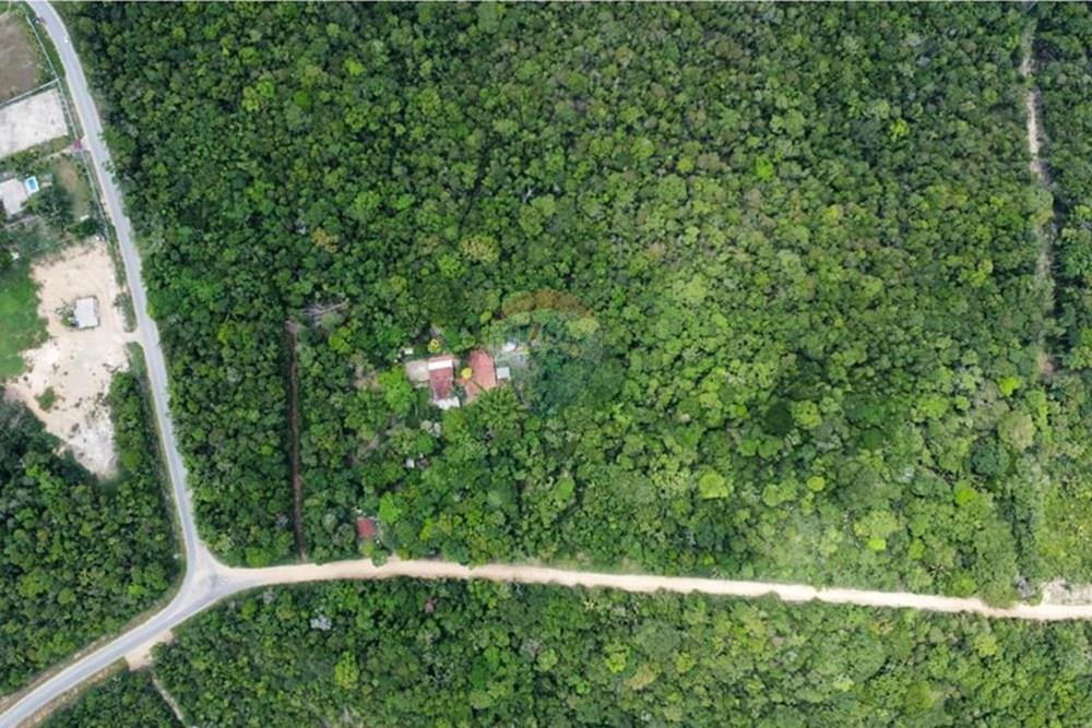 Terreno - Venda - Manaus , Amazonas - IMG-20251021-WA0178.jpg - 720721007-235