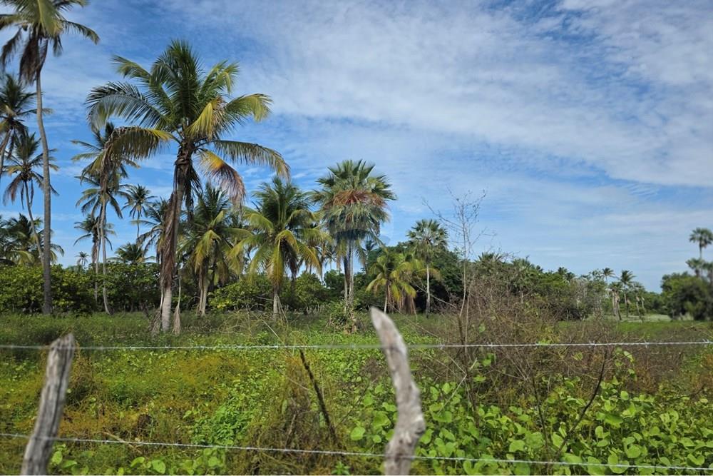 Terreno - Venda - Acaraú , Ceará - 1000542819.jpg - 722341001-188