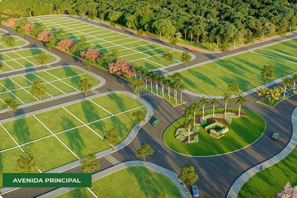 Terreno - Venda - Rio Verde , Goiás - avenidanew.jpg - 722291039-5