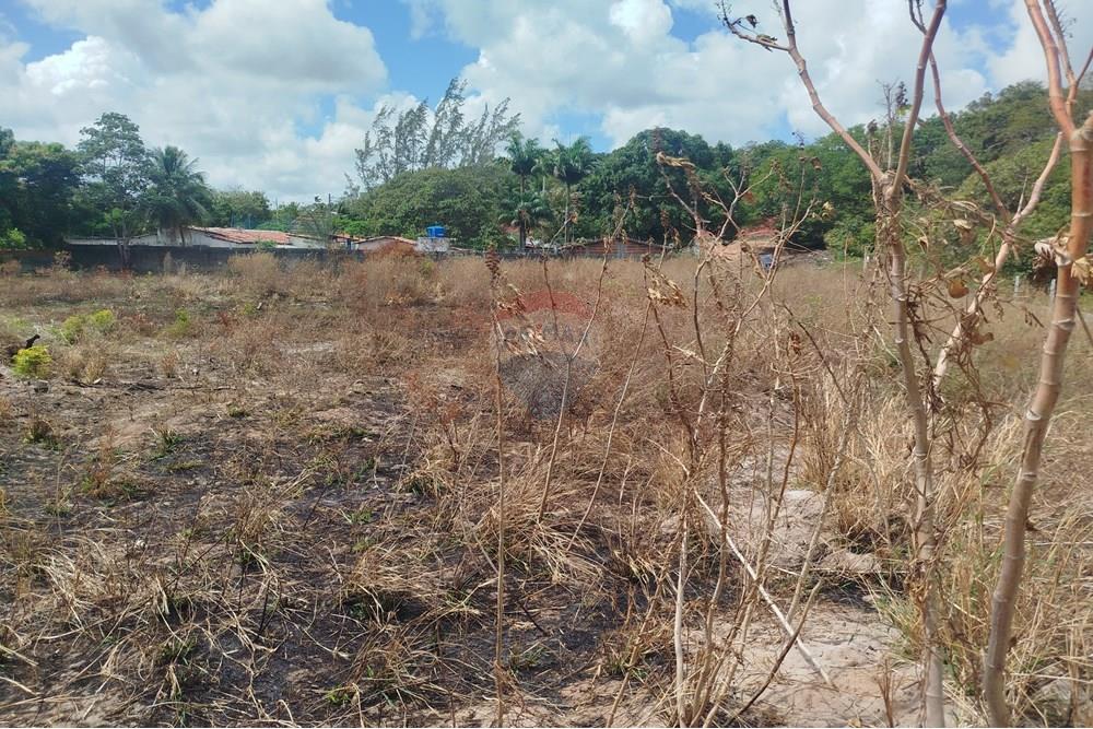 Terreno - Venda - Nísia Floresta , Rio Grande do Norte - WhatsApp Image 2024-11-22 at 21.32.39 (1).jpeg - 720891013-275