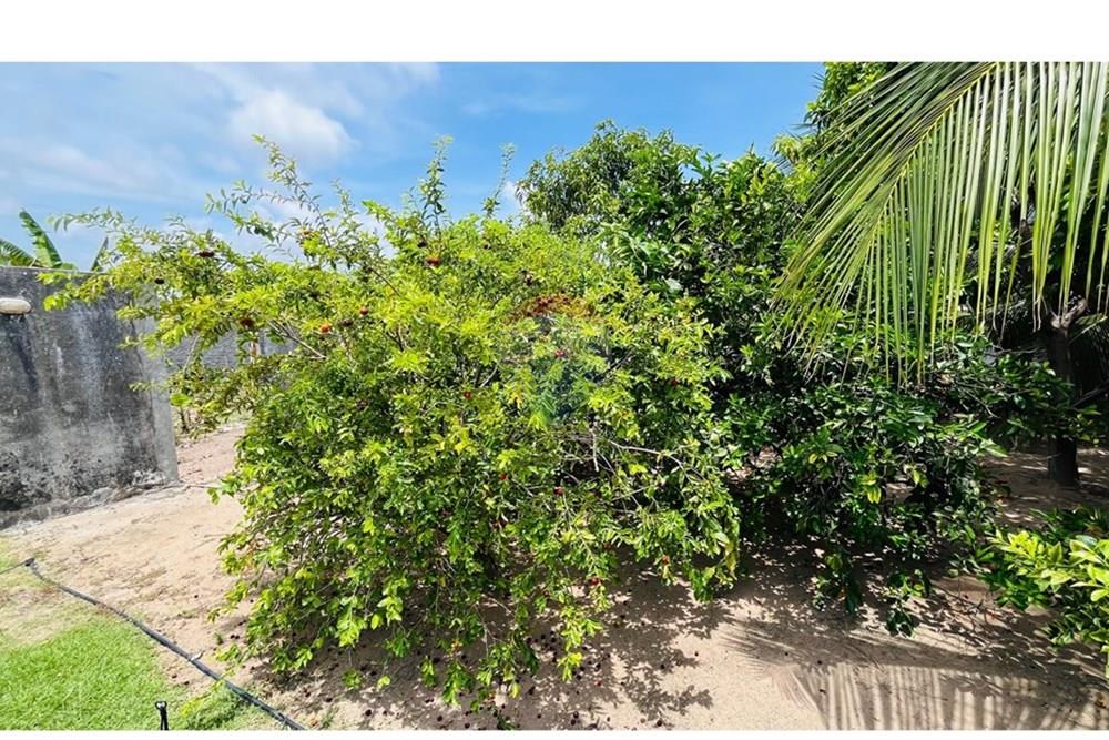 Casa - Venda - Conde , Paraíba - WhatsApp Image 2026-01-31 at 14.25.06 (2).jpeg - 720871004-227