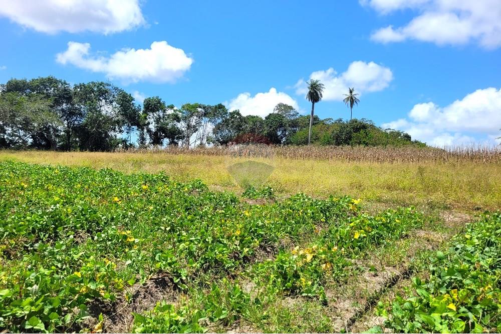 Chácara / Sítio / Fazenda - Venda - Conde , Paraíba - 20240921_100559.jpg - 722011055-34