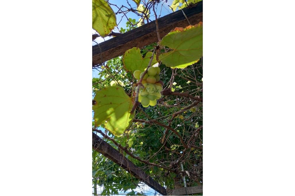 Casa - Venda - Rondonópolis , Mato Grosso - IMG-20250416-WA0146.jpg - 720771067-2