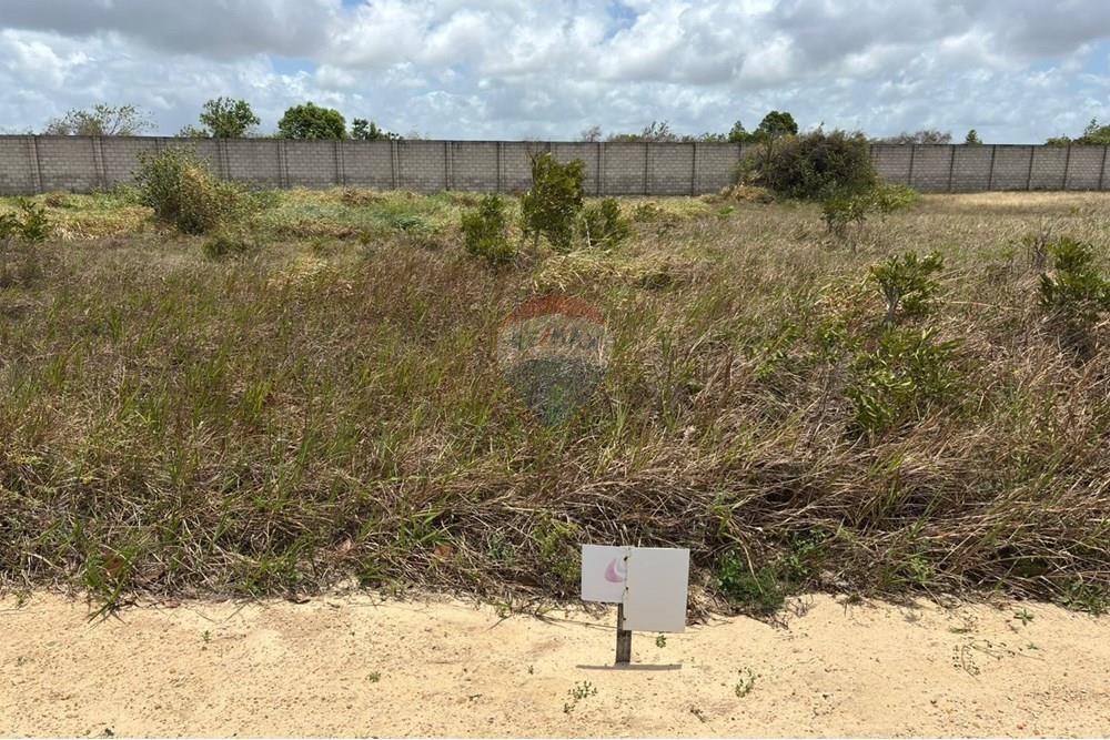 Terreno - Venda - Nísia Floresta , Rio Grande do Norte - WhatsApp Image 2025-10-09 at 16.12.01 (1).jpeg - 720891133-248