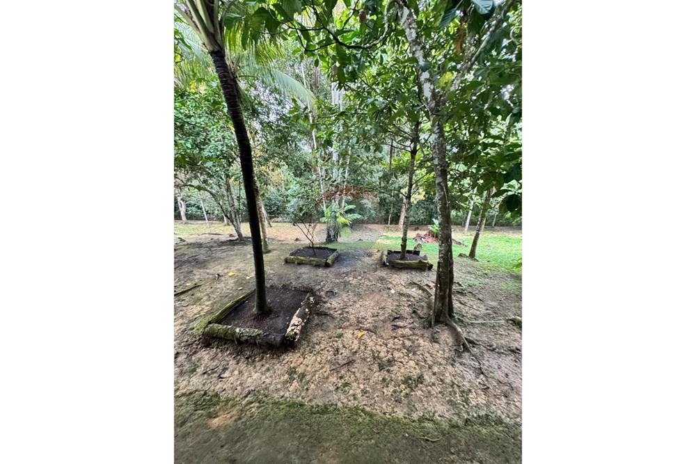 Terreno - Venda - Manaus , Amazonas - WhatsApp Image 2026-04-09 at 10.19.44 AM (7).jpeg - 720721011-347