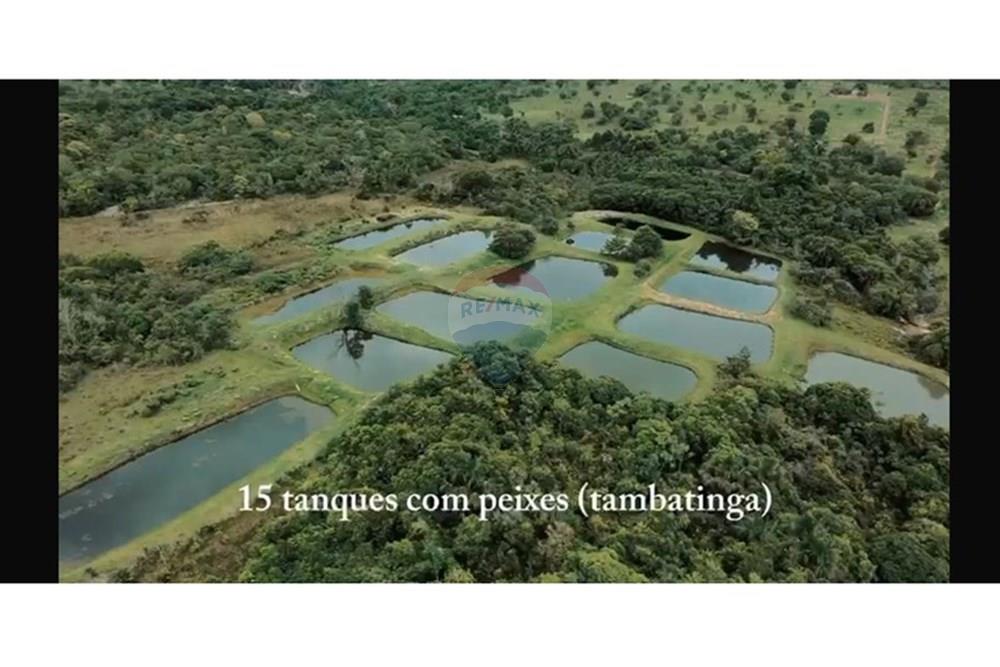 Chácara / Sítio / Fazenda - Venda - Jaciara , Mato Grosso - WhatsApp Image 2026-01-19 at 14.05.23.jpeg - 722261002-15