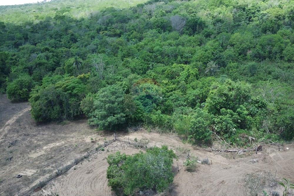 Chácara / Sítio / Fazenda - Venda - Dom Aquino , Mato Grosso - IMG_7839.JPG - 720611016-36