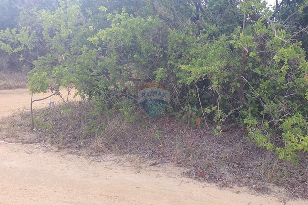 Terreno - Venda - Conde , Paraíba - 3ef97530-5df8-4b2a-950f-7fa1a163f86a.jpeg - 720471019-138