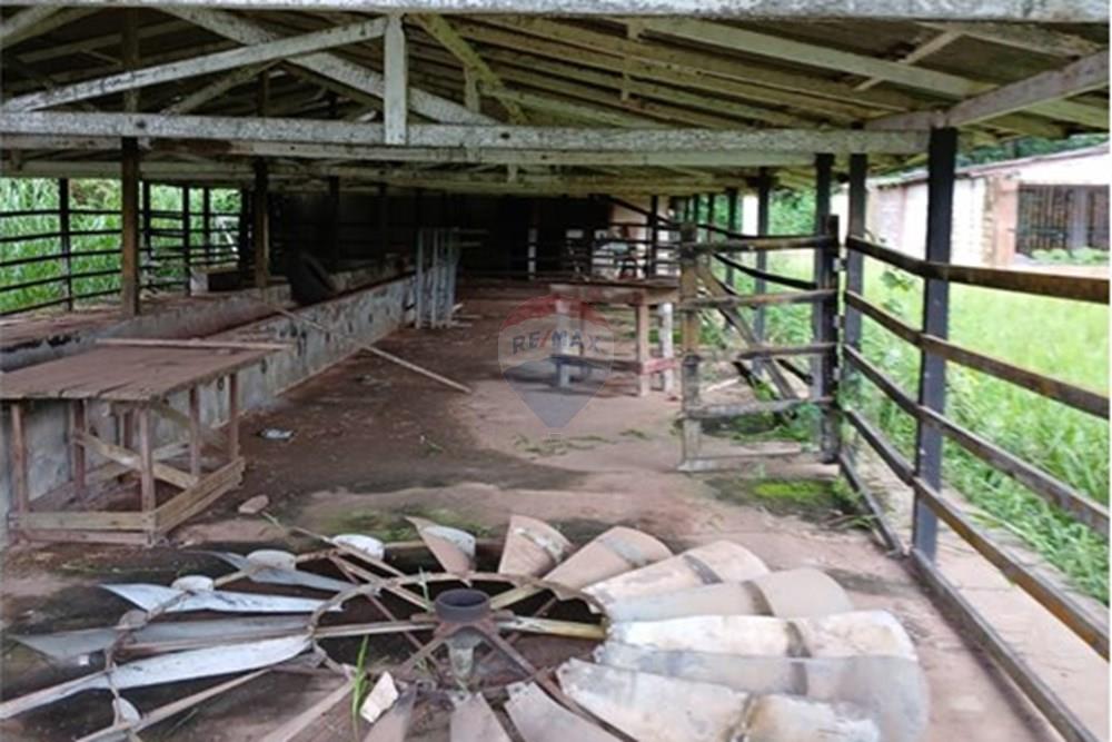 Terreno - Venda - Benevides , Pará - PHOTO-2025-12-22-20-39-40 (1).jpg - 720921008-100