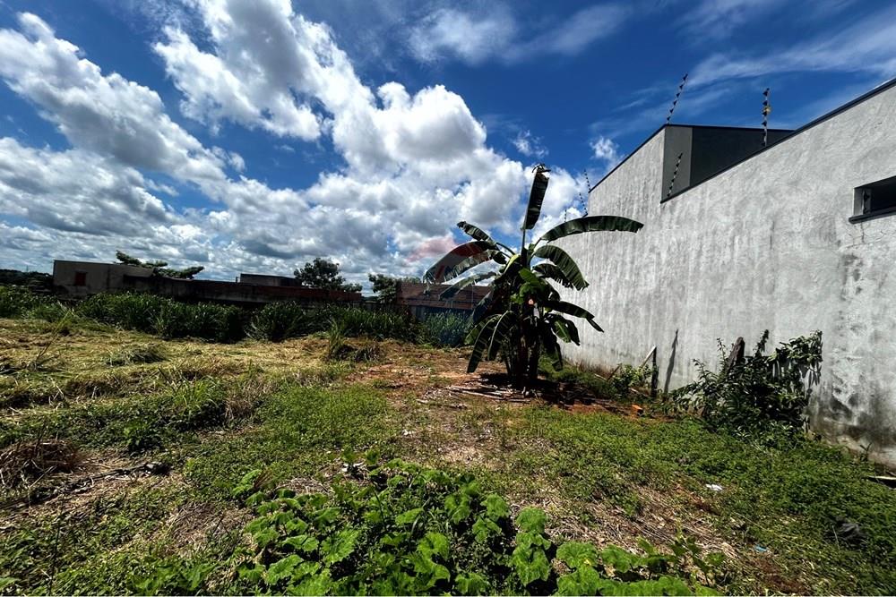 Terreno - Venda - Cacoal , Rondônia - IMG_2084.jpg - 721971001-41