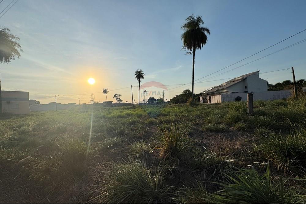 Terreno - Venda - Araguaína , Tocantins - IMG_5842.JPG - 720991008-80