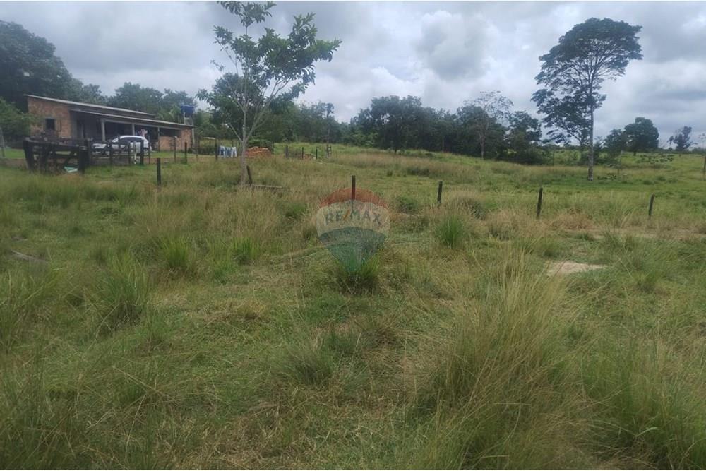 Chácara / Sítio / Fazenda - Venda - Confresa , Mato Grosso - IMG-20250926-WA0036.jpg - 720641046-10