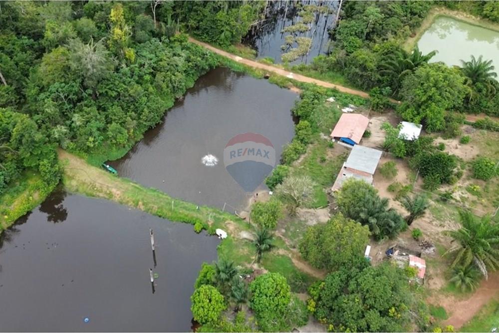 Woningbouw - Boerderij - Novo Airão , Amazonas - BR - Tanques de Peixes4.jpg - 720721055-29