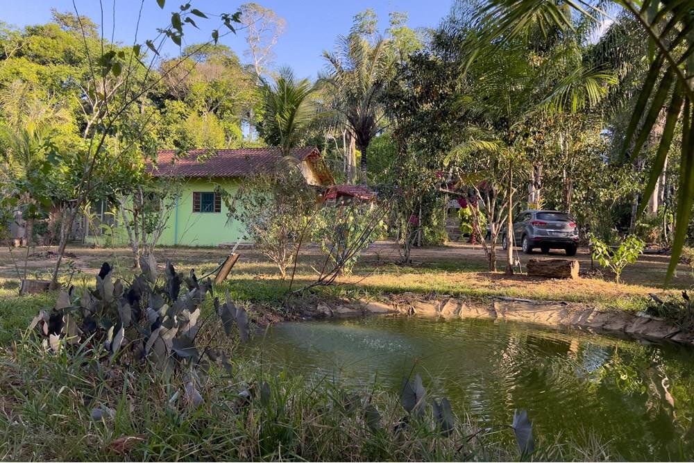 Chácara / Sítio / Fazenda - Venda - Porto Velho , Rondônia - IMG_9029.jpg - 721551016-73