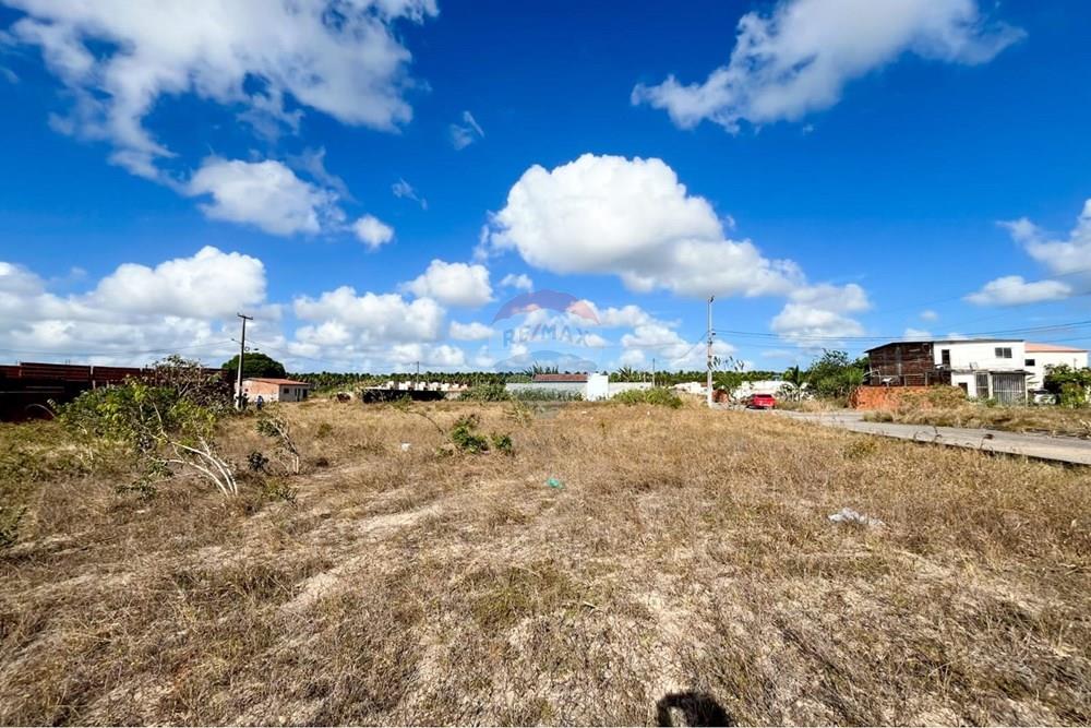 Terreno - Venda - São José de Mipibu , Rio Grande do Norte - b86977b0-0299-4c24-bd16-285e02e444c9.jpg - 720811011-106