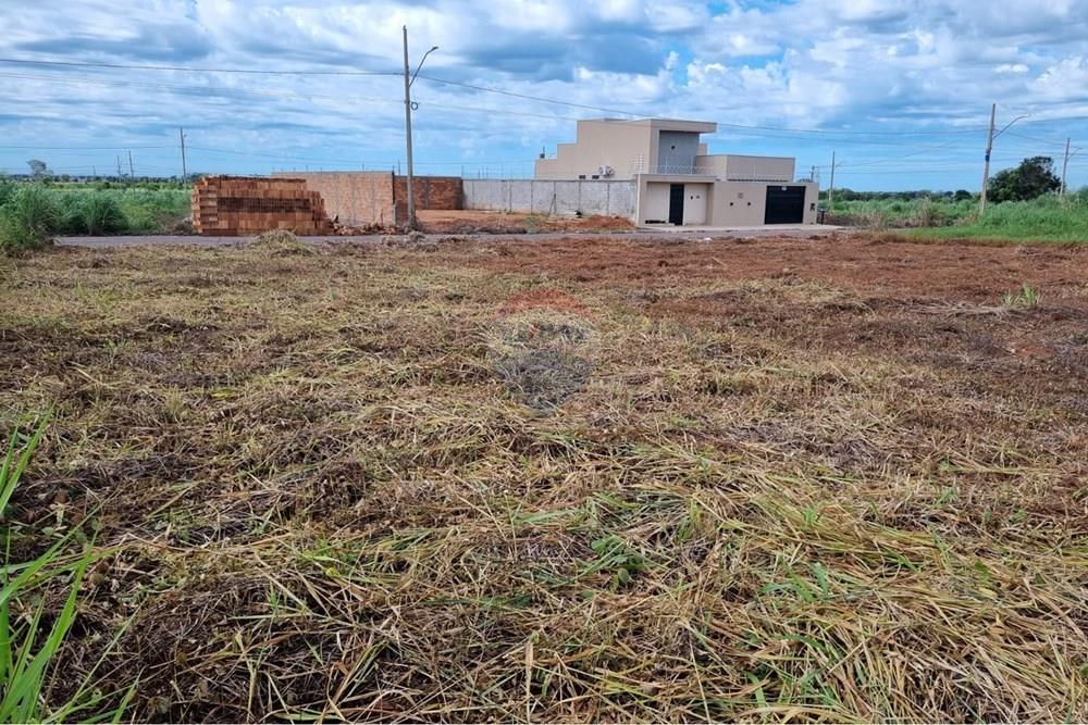 Terreno - Venda - Confresa , Mato Grosso - WhatsApp Image 2026-01-27 at 10.43.40 (2).jpeg - 720641046-17