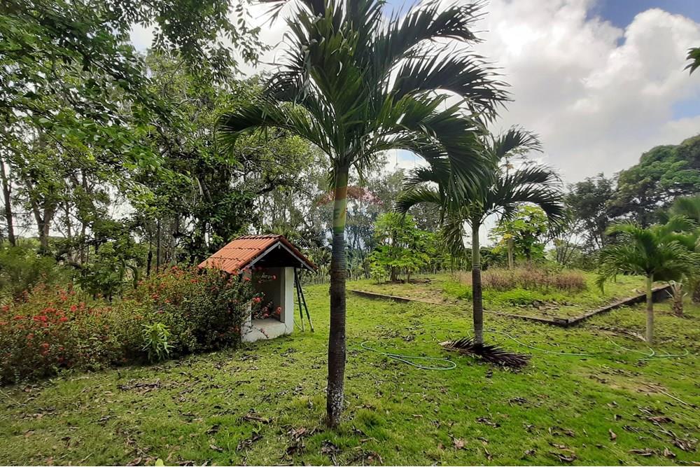 Chácara / Sítio / Fazenda - Venda - Conde , Paraíba - 20211021_105626.jpg - 722011055-33