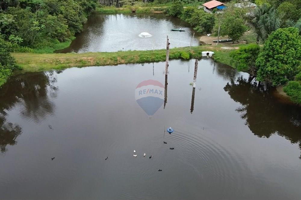 Woningbouw - Boerderij - Novo Airão , Amazonas - BR - Tanques de Peixes13.jpg - 720721055-29