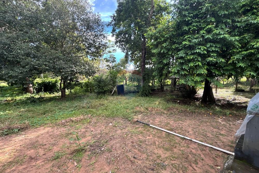 Chácara / Sítio / Fazenda - Venda - Barra do Garças , Mato Grosso - IMG_8212.JPG.jpeg - 722221023-69