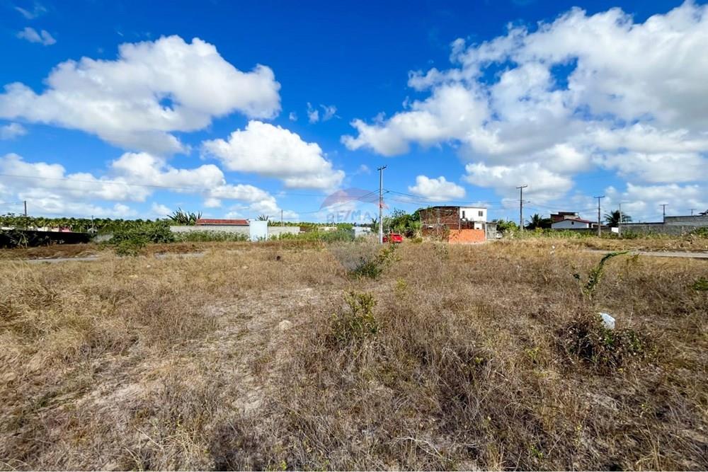 Terreno - Venda - São José de Mipibu , Rio Grande do Norte - d59f4012-3d6c-4168-9915-224beda45c5b.jpg - 720811011-106