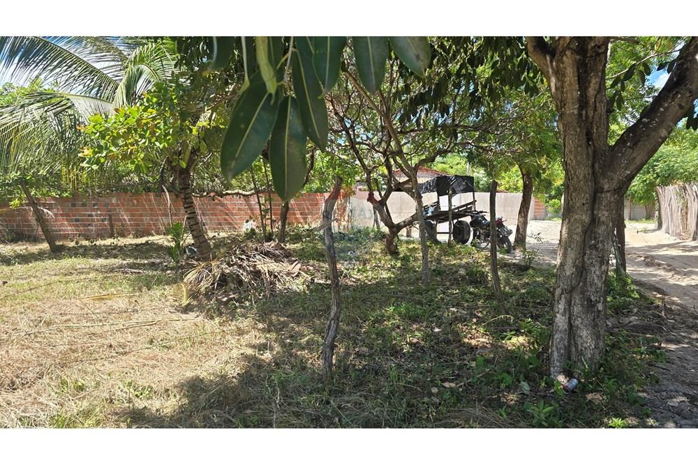 Terreno - Venda - Acaraú , Ceará - 20250713_121528.jpg - 722341001-65