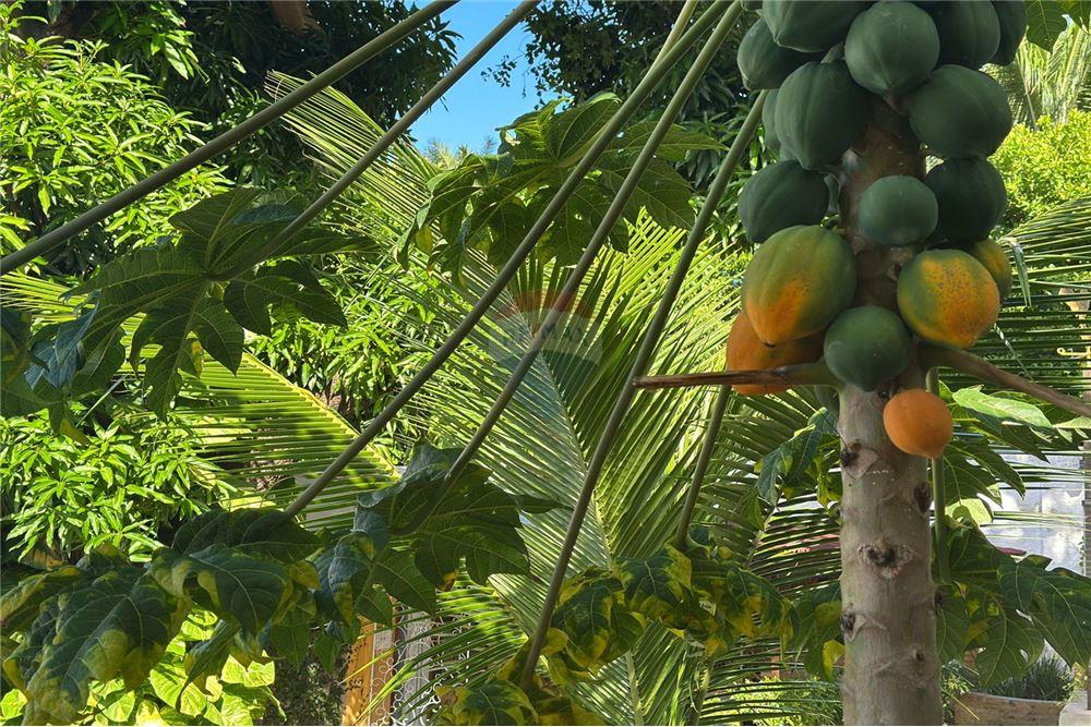 Hotel/ Pousada - Venda - Natal , Rio Grande do Norte - 62 - 720891068-60