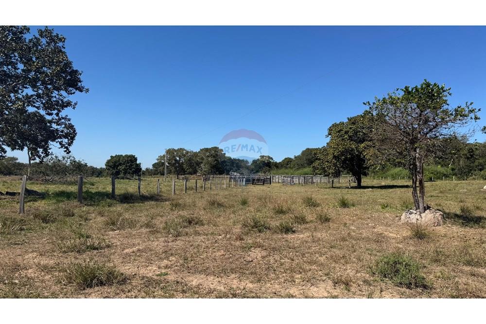 Fazenda - Venda - Santo Antônio do Leverger , Mato Grosso - 65bf1504-ae65-4881-af02-37da61b40ebd.jpeg - 720611035-41