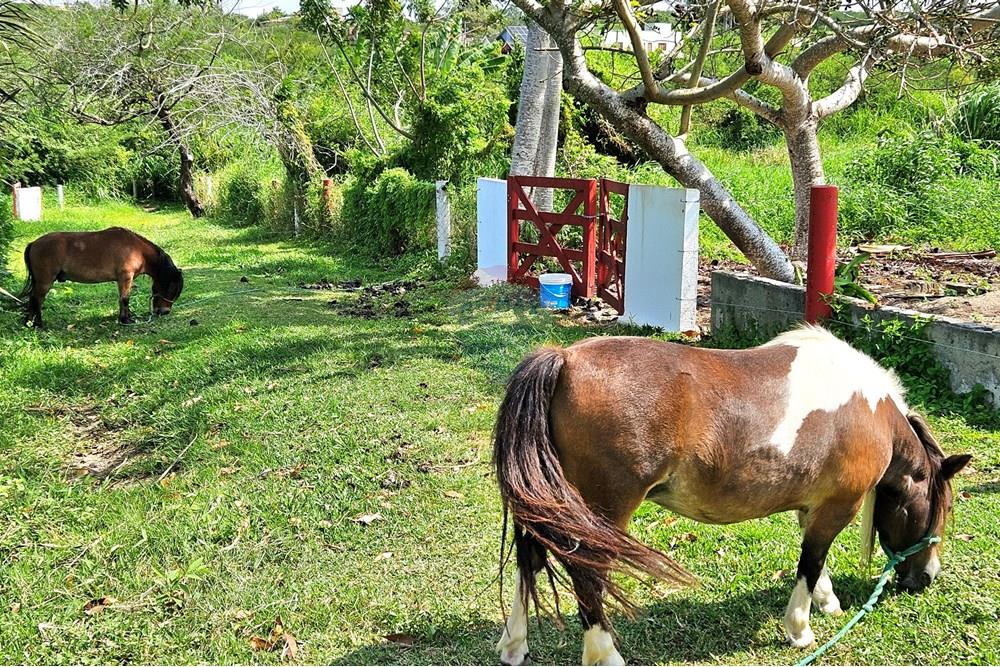 Casa de Condomínio - Venda - Macaíba , Rio Grande do Norte - 20250905_133106.jpg - 720891039-316